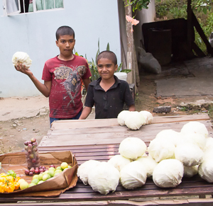 Two young boys at a road side stand