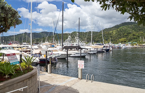 Crew's Inn Marina