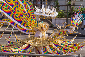 Pictured: Traditional mas at the Savannah on Carnival Monday