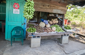 Roadside Stand on the East Coast of Trinida